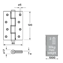 SA120 Pair Of Spring Hinges